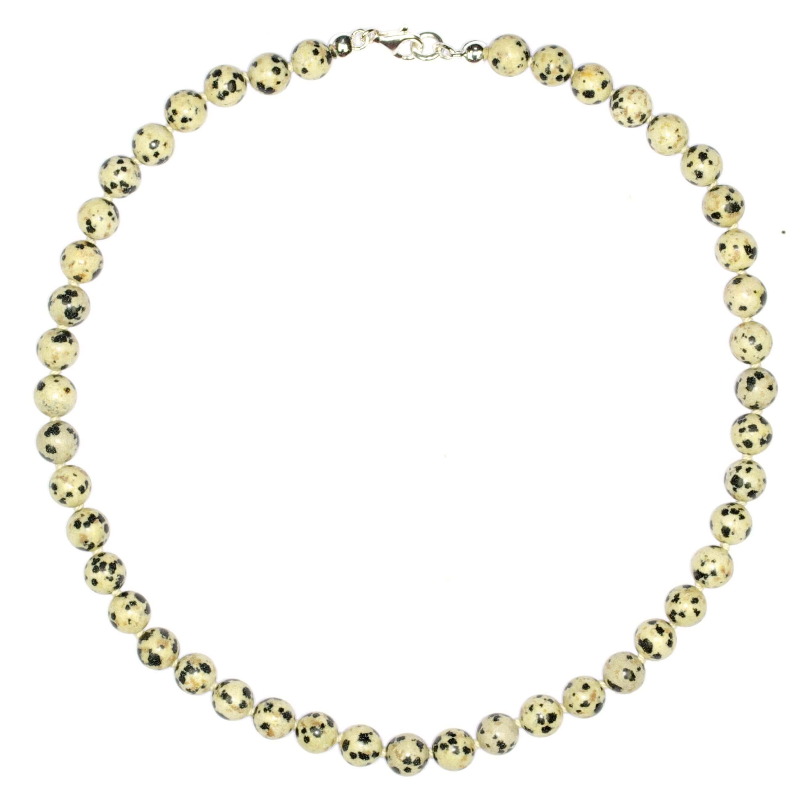 Dalmatiner-Jaspis-393