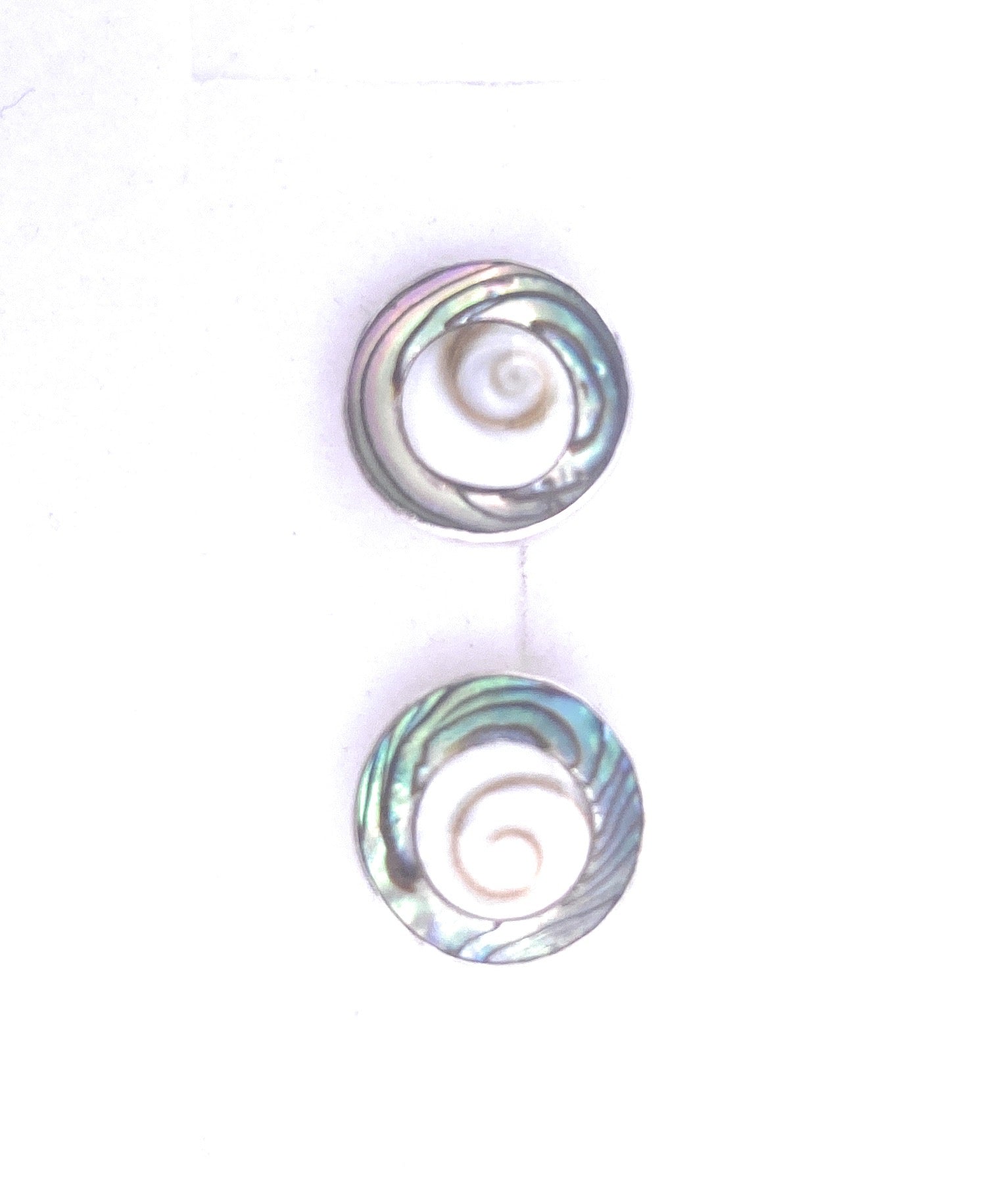 Operculum mit Abalone Ohrstecker