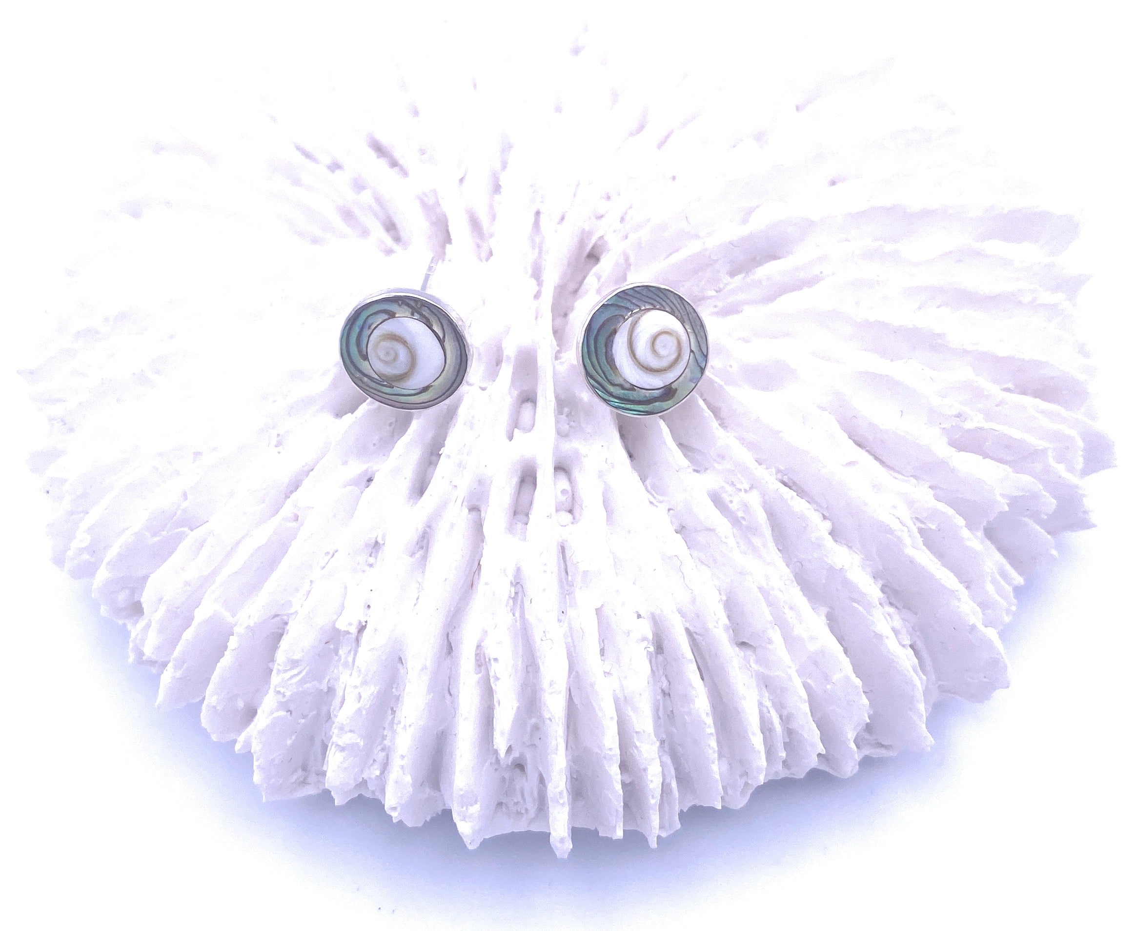 Operculum mit Abalone Ohrstecker